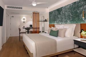 Junior Suite Tropical View King Room + Deluxe Room